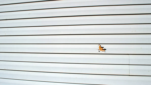 Best Stucco Siding  in Alto, GA