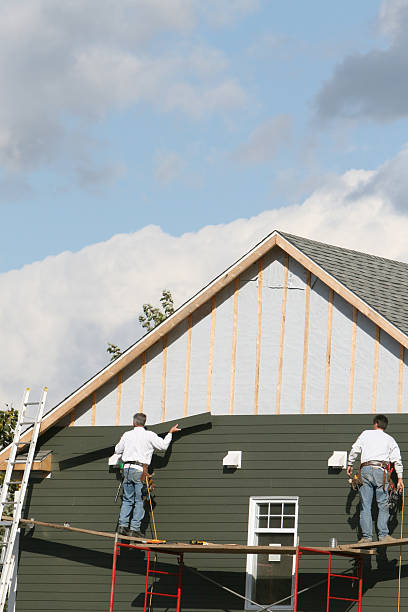 Best Brick Veneer Siding  in Alto, GA