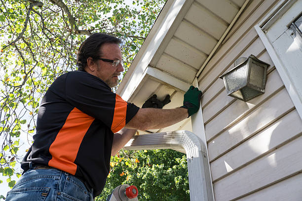  Alto, GA Siding Installation Pros